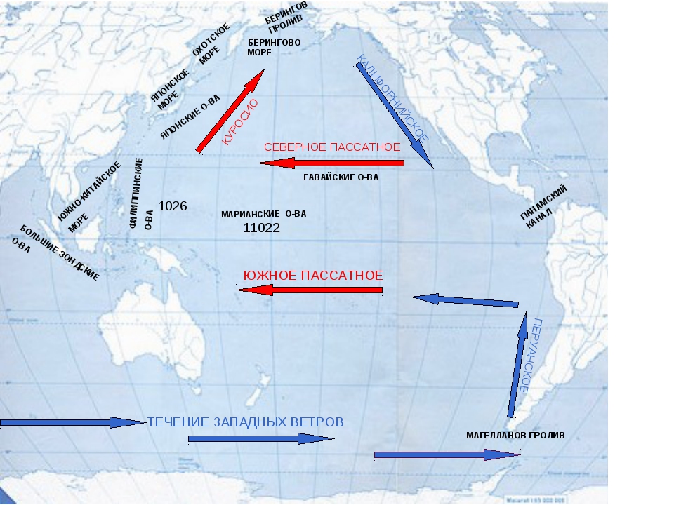 5 течения тихого океана. Холодное течение Курило Камчатское на карте. Курило Камчатское течение на карте Тихого океана. Куросио в Беринговом море. Камчатское течение на карте Тихого океана.