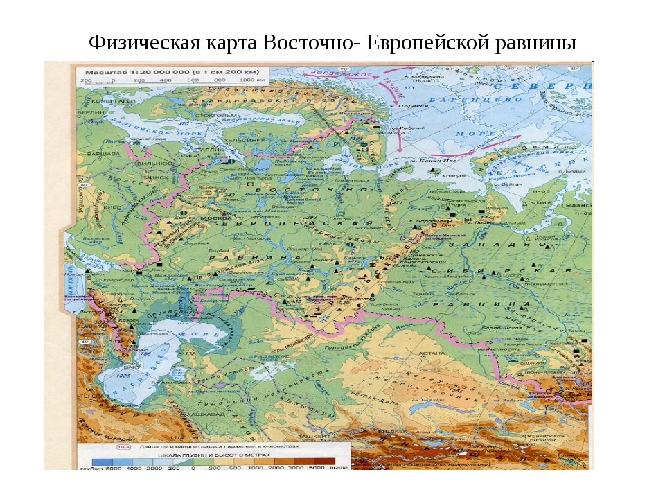 Восточно европейская возвышенность на карте россии