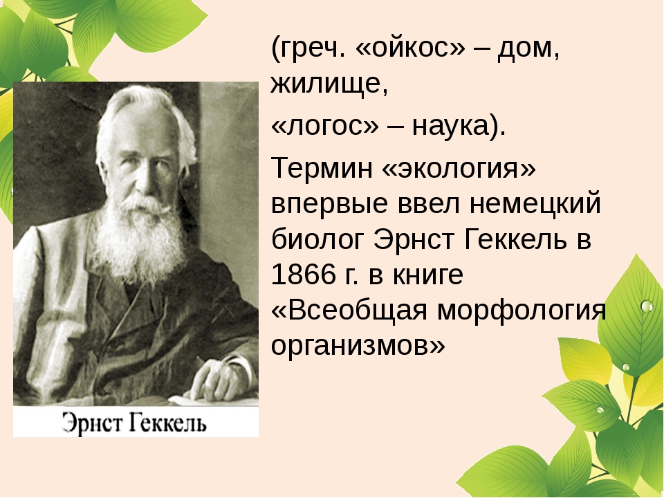 Экология это наука. Понятие экология. Экология как наука презентация. Экология определение.