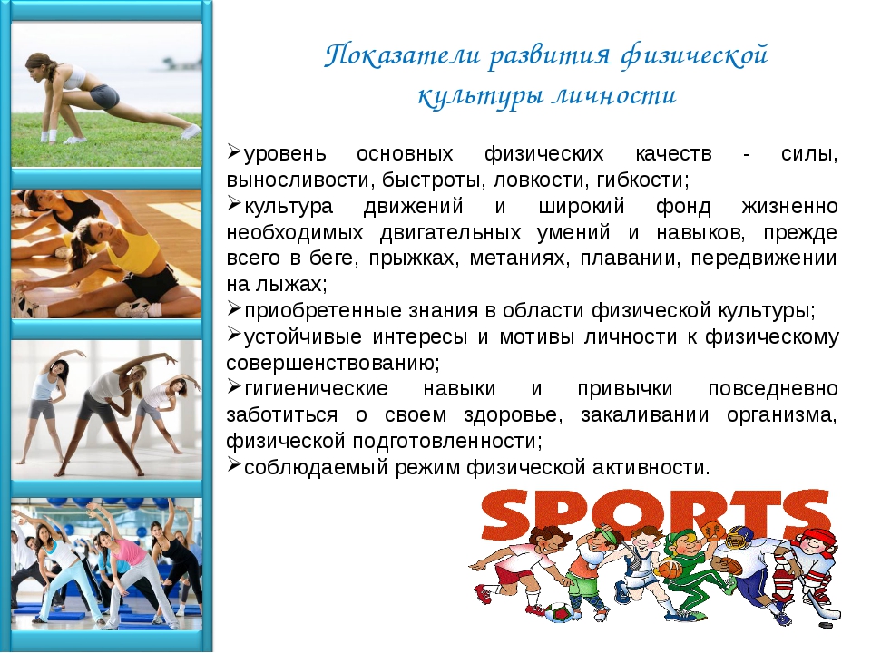 Спортивные услуги характеристика