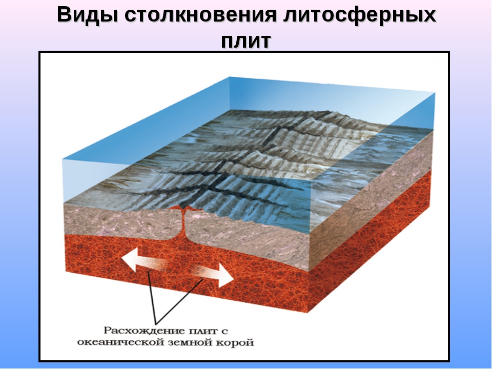 Какое смещение земной коры показано на рисунке