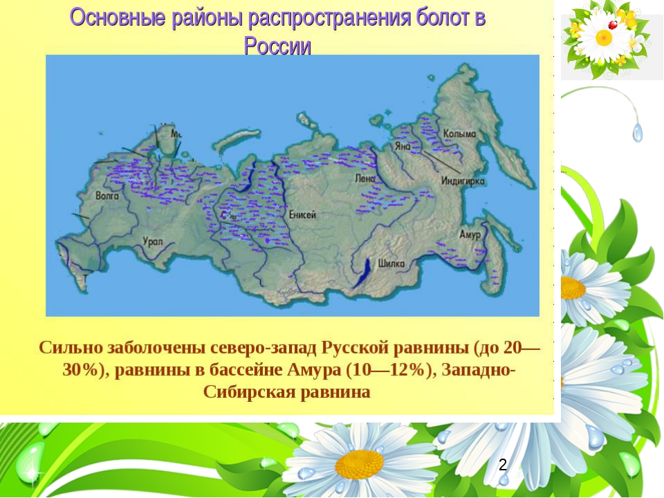 Карта болот в россии