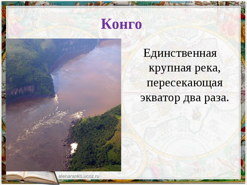 Какие реки протекают в африке. Конго самая полноводная река. Информация на тему река Конго. Река Конго доклад. Конго презентация.