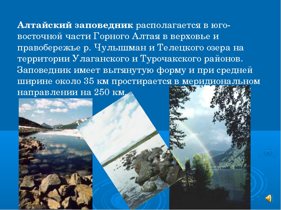 Рельеф алтайского края. Алтайский заповедник презентация. Рассказ про Алтайский заповедник. Алтайский заповедник доклад. Алтайский заповедник проект.