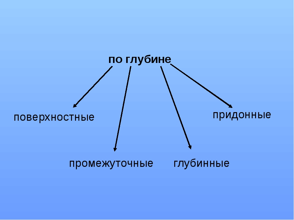 Назовите виды океанических течений приведите их примеры