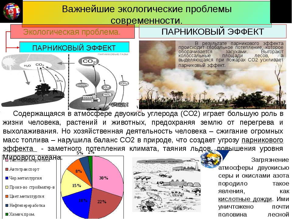 Основные экологические проблемы современности презентация 11 класс