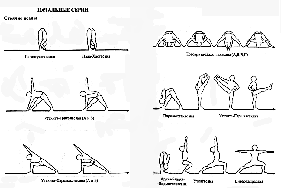 Описание асан в йоге с изображениями и их значение