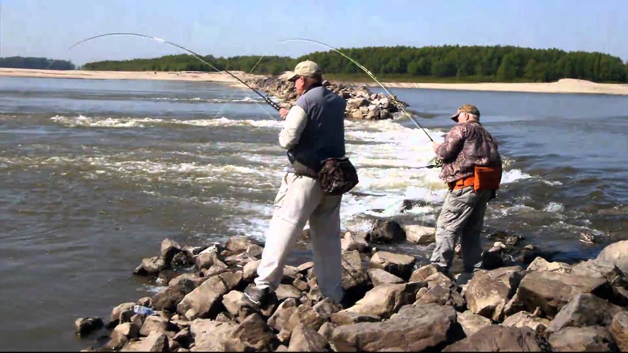 Лов рыбы на реке