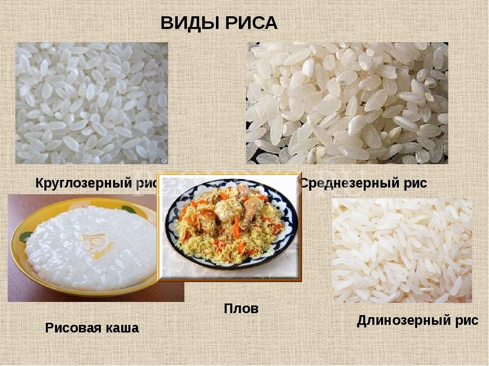 Рис относится к группе. Виды риса. Разновидности круп риса. Рис вид крупы. Сорта рисовой крупы.
