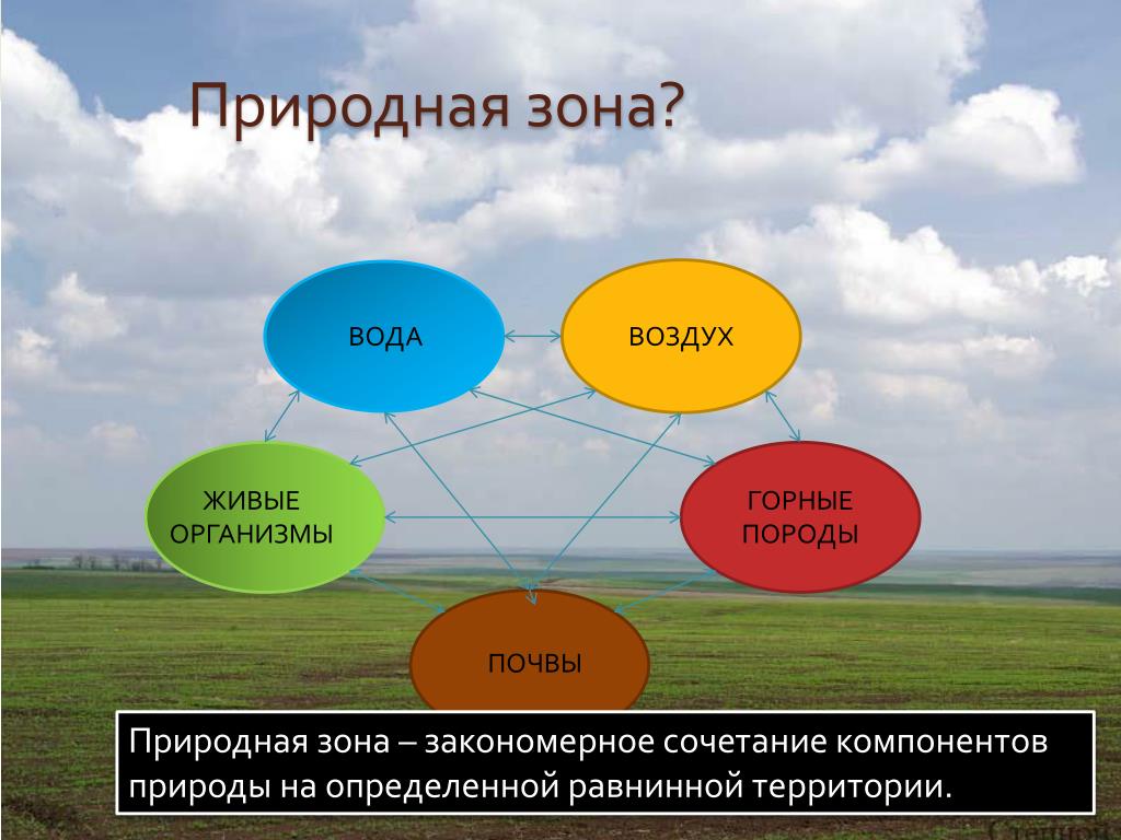 Сколько зон. Природные зоны. Природные зоны презентация. Климатические пояса и природные зоны. Природные зоны компонентов природы.