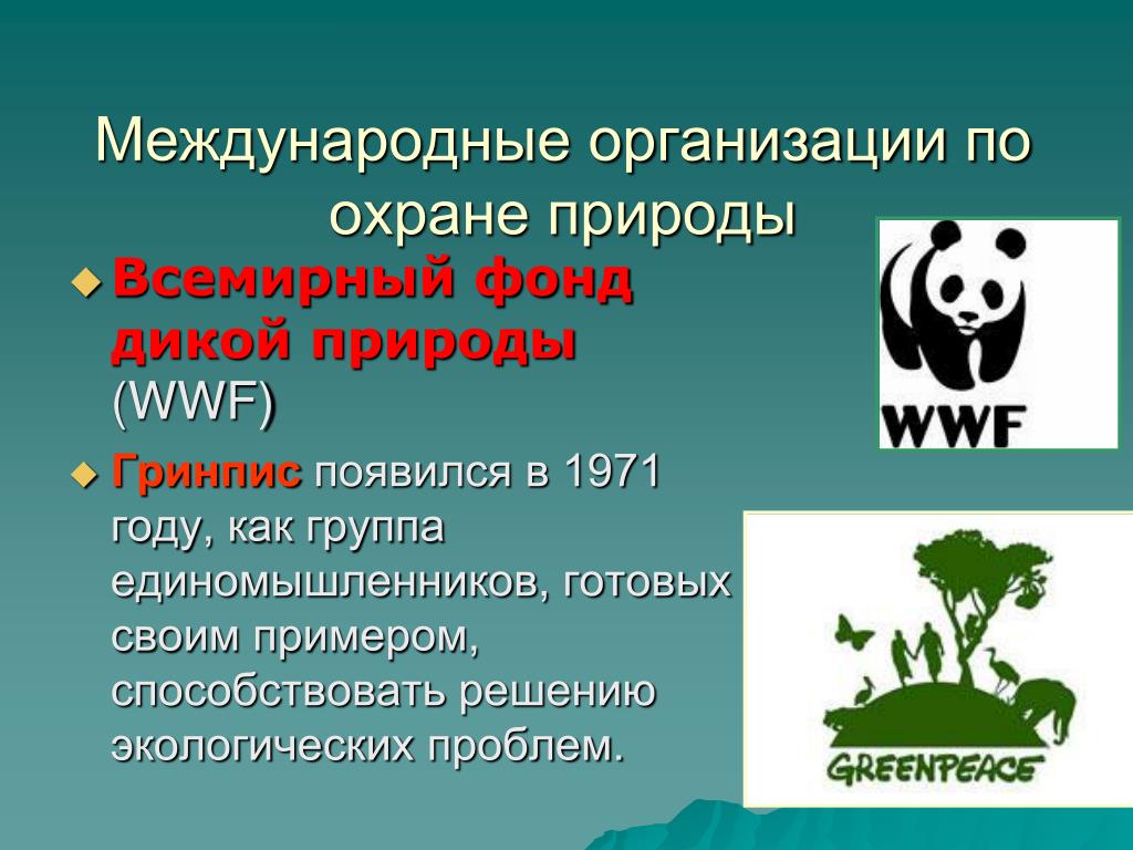 Природная организация. Международные организации охраны природы. Организации по охране природы. Организации по защите природы. Международные организации по защите природы.