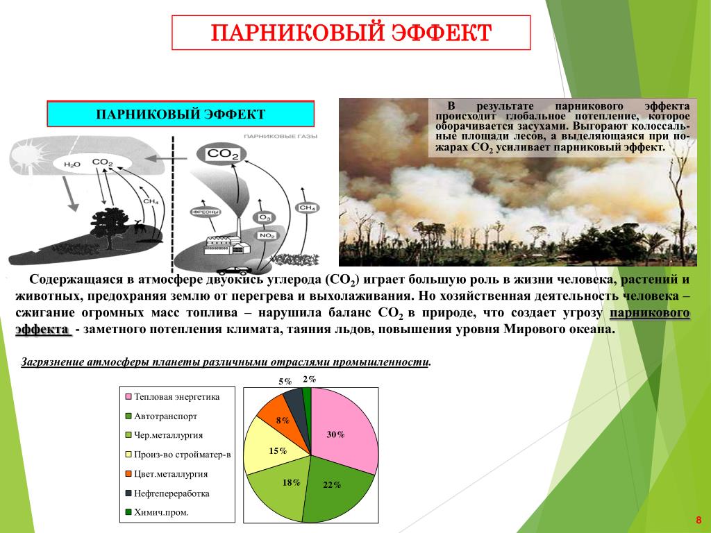 Загрязнение атмосферы земли и как следствие изменение климата презентация