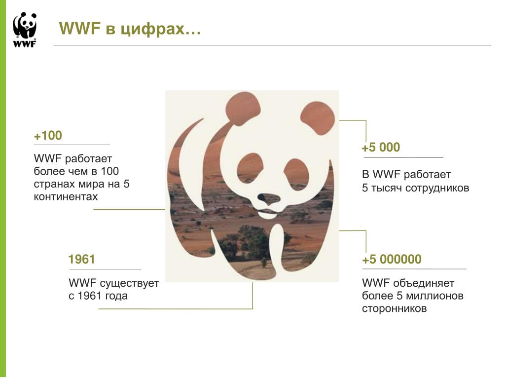 Что такое wwf 4 класс