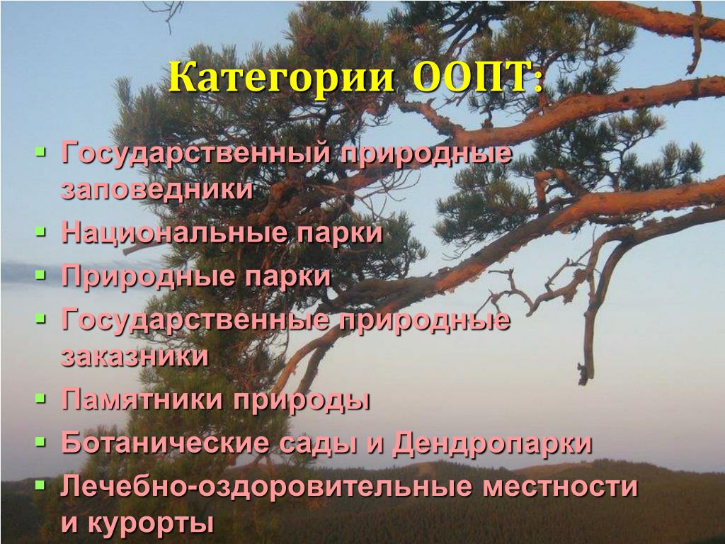 Заповедники заказники национальные парки памятники природы презентация