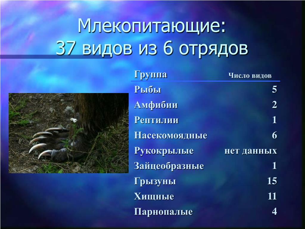 Какие списки изображены на картинке млекопитающие в природе россии представлены отрядами хищных