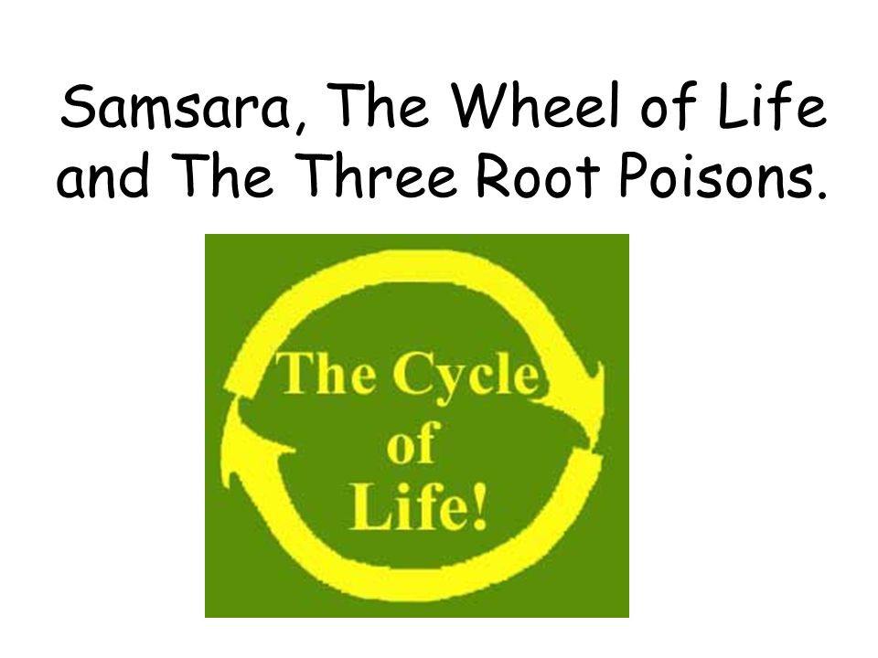 Samsara, The Wheel of Life and The Three Root Poisons.