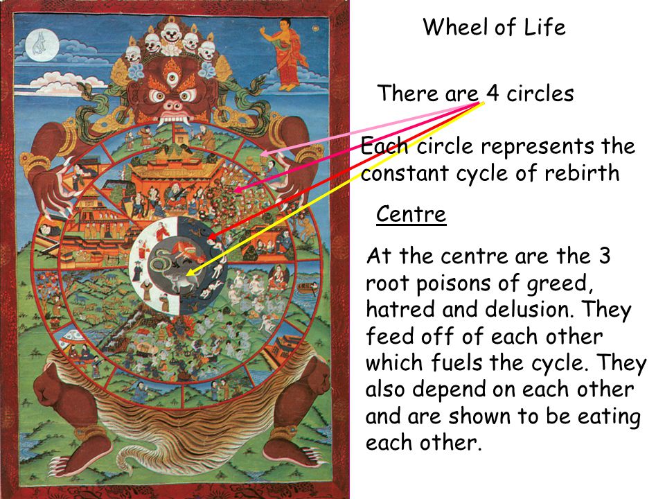 Wheel of Life There are 4 circles Each circle represents the constant cycle of rebirth At the centre are the 3 root poisons of greed, hatred and delusion.