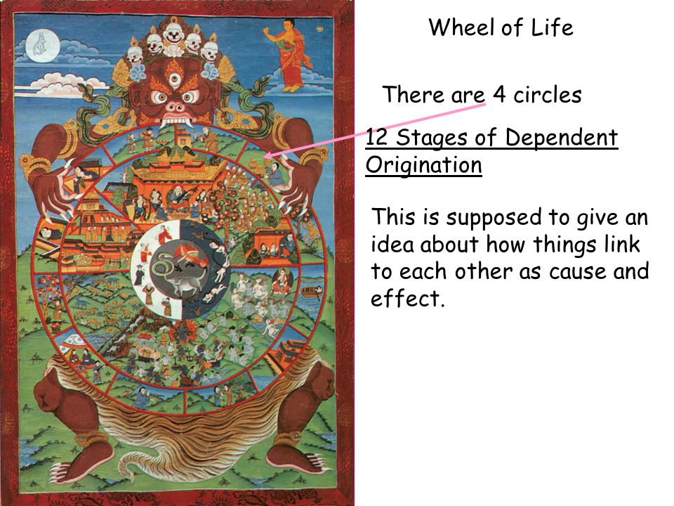 Wheel of Life There are 4 circles This is supposed to give an idea about how things link to each other as cause and effect.