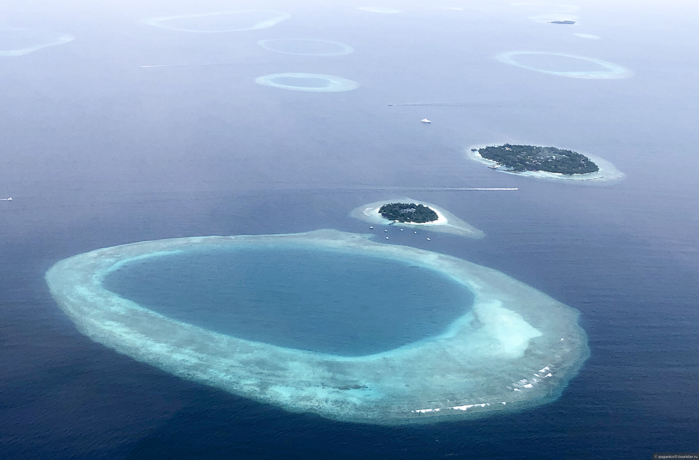 Крупнейшие архипелаги тихого океана. Атолл коралловый остров. Мальдивы коралловые острова. Коралловые Атоллы Мальдивы. Атоллы Австралии.