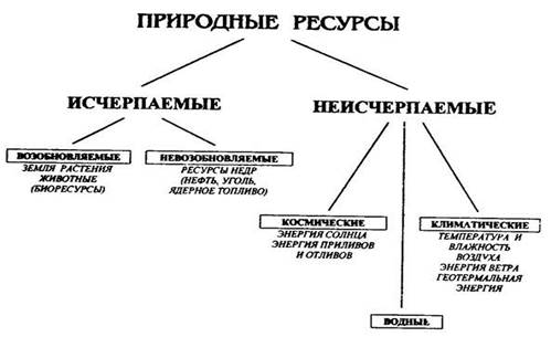 Заполните схему приведя не менее двух примеров каждого из видов ресурсов