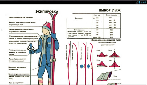 Чем отличаются лыжи. Беговые лыжи классический ход и коньковый ход отличия. Классические и коньковые лыжи разница. Отличие лыж для конькового хода.