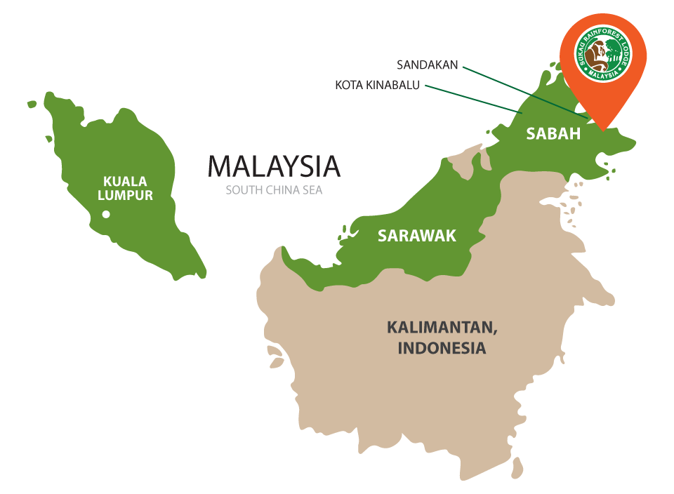 Где остров калимантан. Индонезия остров Калимантан на карте. Малайзия на карте. Борнео Малайзия на карте. Форма острова Калимантан.