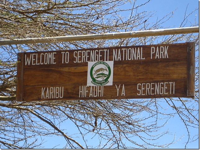 1253083355_800px-serengeti-sign