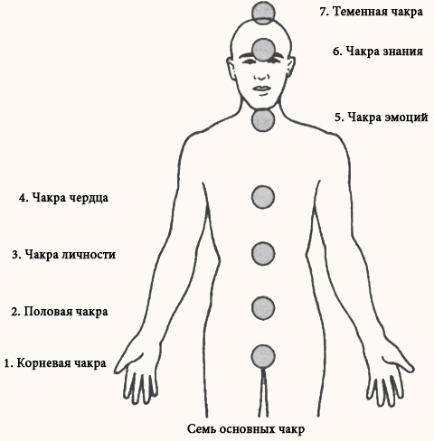 Чакра связана. Расположение чакр. Чакры человека схема и описание. Чакры человека рисунок. Базовая чакра.