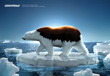 Greenpeace-bear_thumb