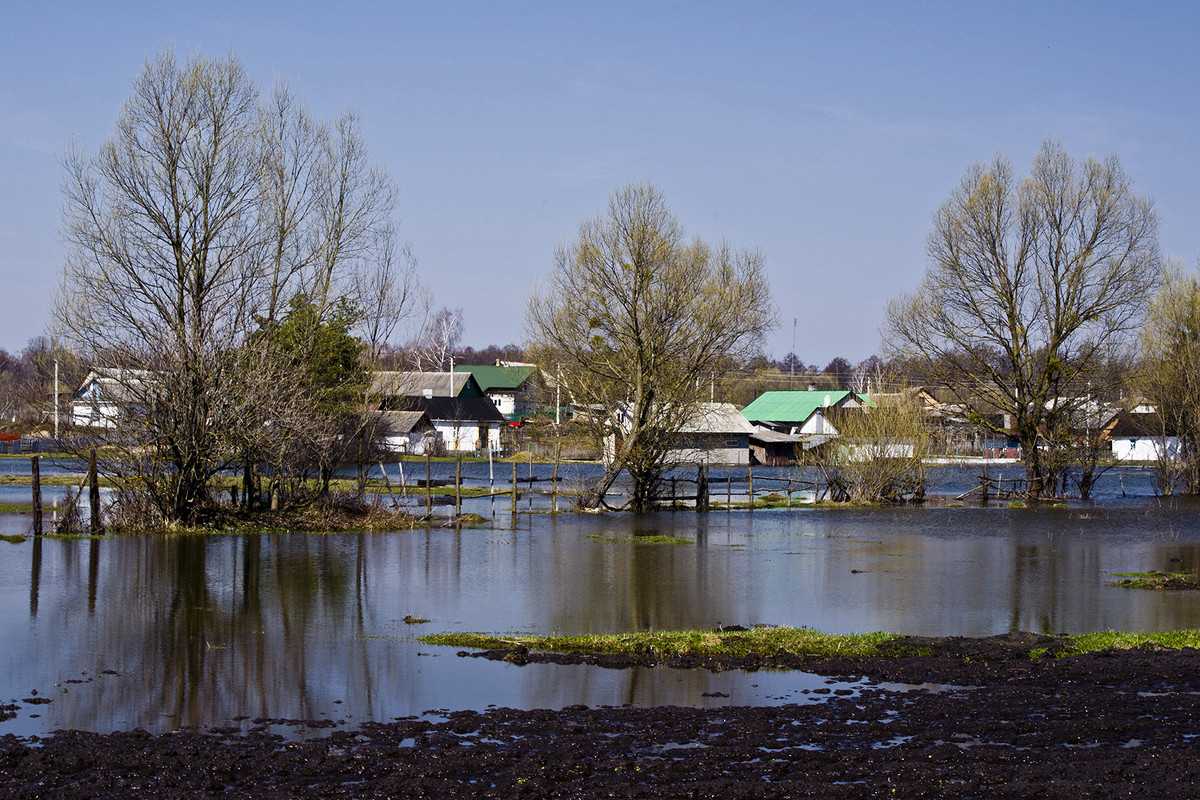 Картинки с половодьем