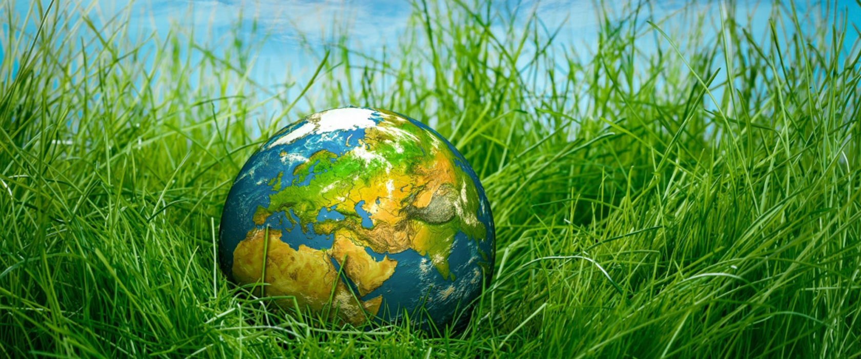 глобальные экологические проблемы