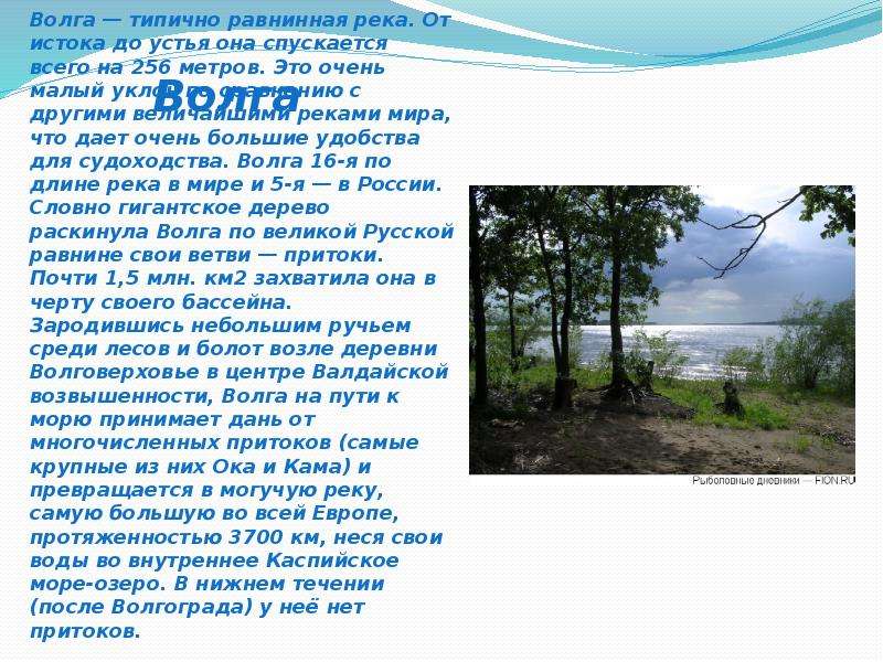 Исток и устье волги. Исток и Устье реки Волга и ее притоки. Река Волга её Исток и Устье. Природа Волги от истока до устья. Волга Истоки и устья.