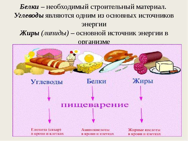 Салаты из сложных углеводов и белков