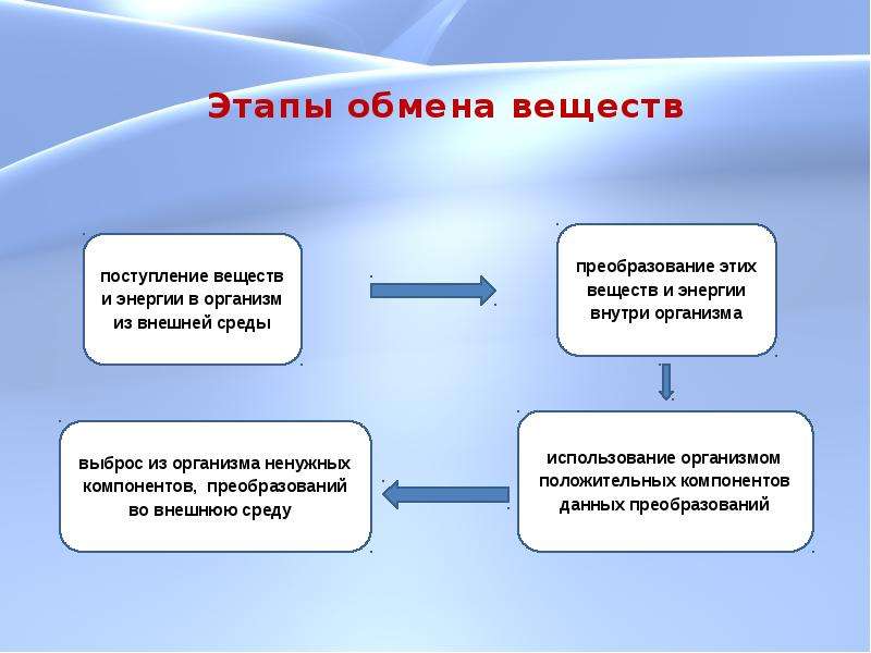 Обмен веществ и энергии