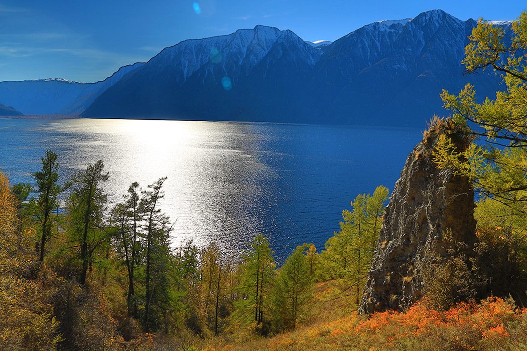 Алтайский заповедник Республика Алтай