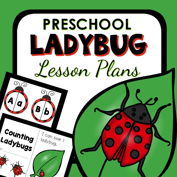Preschool theme lesson plan