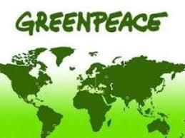 Международная экологическая организация Гринпис придерживается определенных принципов, таких как, протест действием (проводит акции, привлекающие внимание общественности к проблемам), ненасильственность