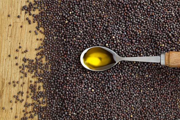 применения масла горчицы