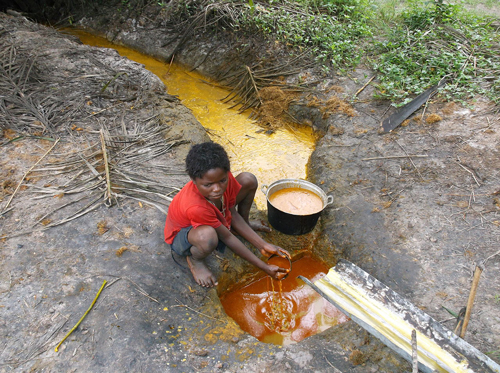 Завершающий этап изготовления пальмового масла аборигенами Конго. Фото: Википедия