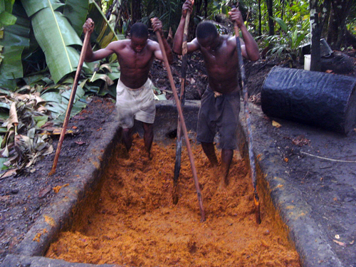 Аборигены готовят пальмовое масло. Фото: Википедия
