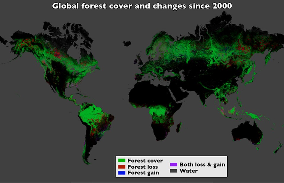 Зеленый: лесные массивы. Красный: уничтоженный лес. Синий: восстановленный лес. Сиреневый: площали, на которых леса исчезают и восстанавливаются. Серый: вода. 