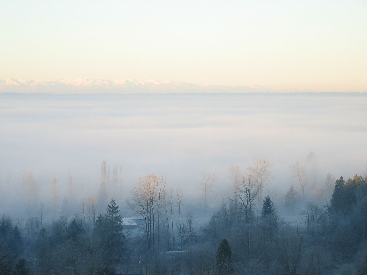 fog covers a rural area