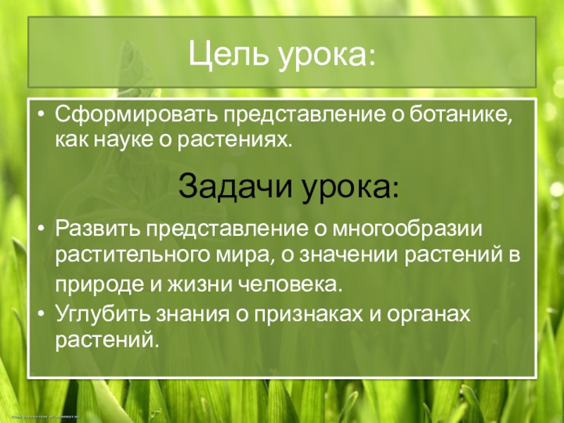 Цели растений. Цель растений в природе. Ботаника значение растений. Урок ботаника – наука о растениях. Разделы ботаники. Ботаника значение в жизни человека.