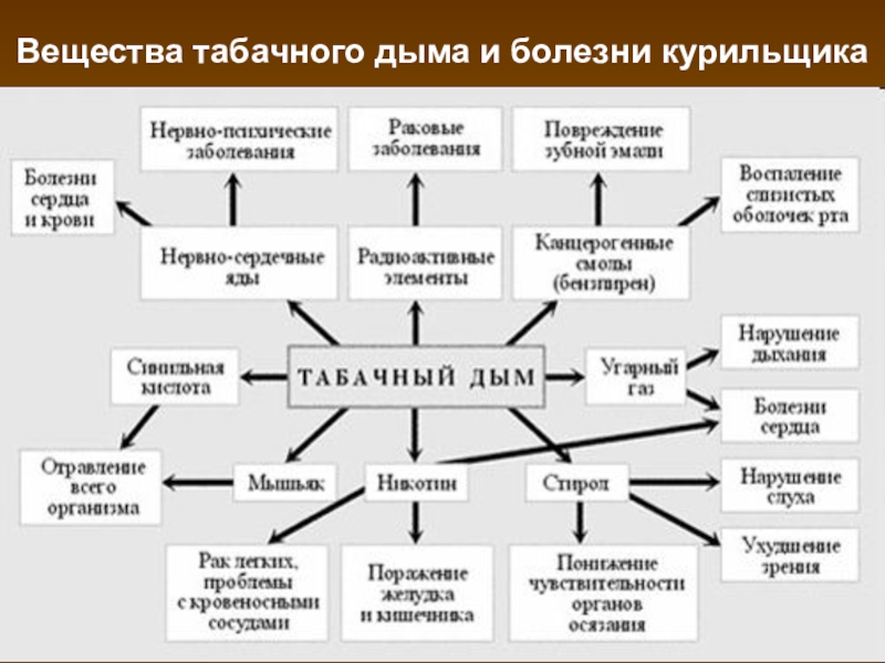 Проект на тему влияние курения на организм человека 10 класс