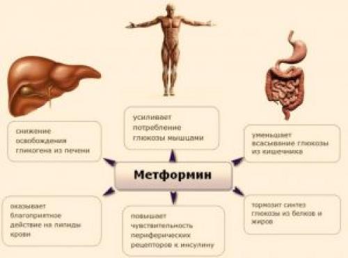 Как принимать метформин для похудения до или после еды. Известные механизмы действия метформина