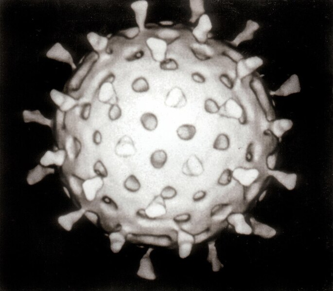 Ротавирус, компьютерная реконструкция на основе данных электронной криомикроскопии