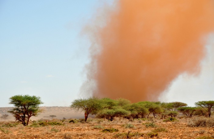 «Песчаный дьявол» в национальном парке «Амбросели» (Кения)