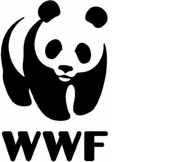 Wwf всемирный фонд дикой природы презентация