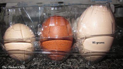 Excessively large or misshapen egg