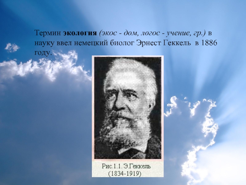 Термин экология ввел в науку. Учение о экологии. Экология ученые. Термин «экология» был введен в науку.